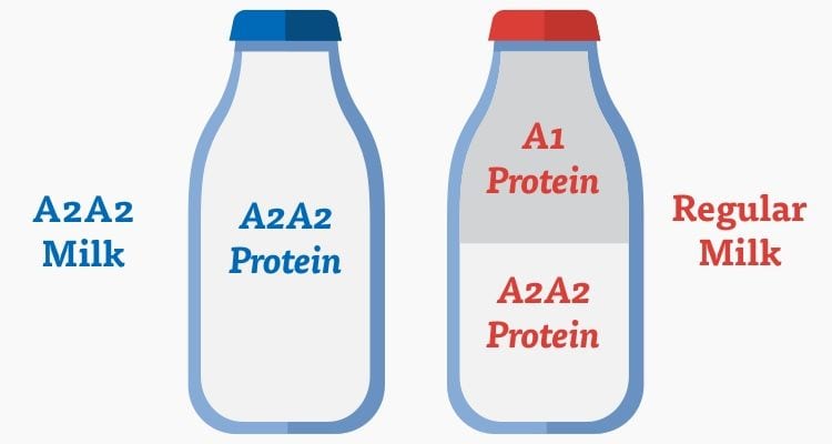 Homestead Creamery Introduces Milk Line With A2A2 Proteins