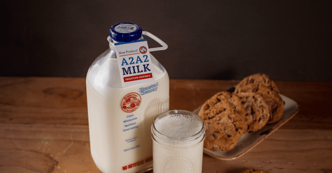 Is Our A2A2 Milk For Lactose Intolerant People? - Homestead Creamery