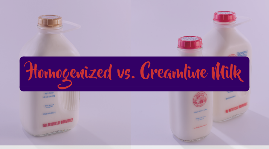 Homogenized_vs._Creamline_Milk Homestead Creamery