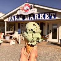 Ice cream in front of Farm Market